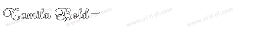 Camila Bold字体转换 Camila Bold字体转换